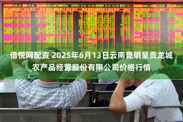 倍悦网配资 2025年6月13日云南昆明呈贡龙城农产品经营股份有限公司价格行情