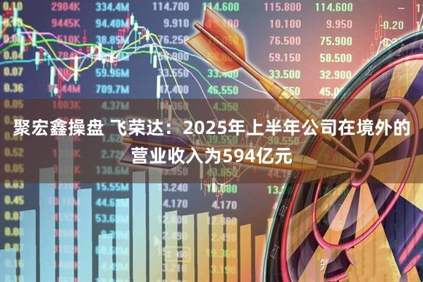 聚宏鑫操盘 飞荣达：2025年上半年公司在境外的营业收入为594亿元