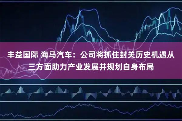 丰益国际 海马汽车：公司将抓住封关历史机遇从三方面助力产业发展并规划自身布局