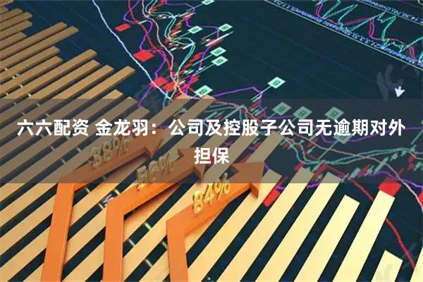 六六配资 金龙羽：公司及控股子公司无逾期对外担保
