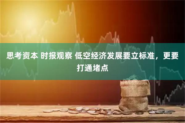 思考资本 时报观察 低空经济发展要立标准，更要打通堵点
